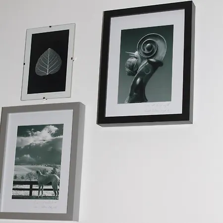 Pensiune Oina Studio *