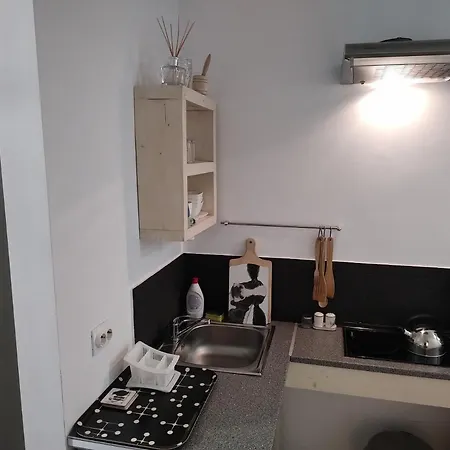 Oina Studio Pensiune *